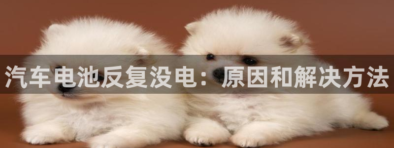 优发国际首页首页y6