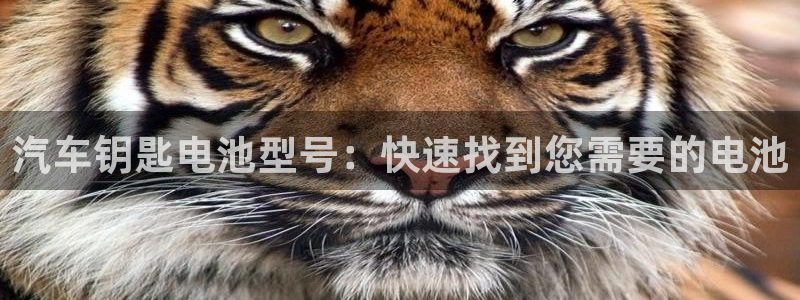 优发国际客服联系方式