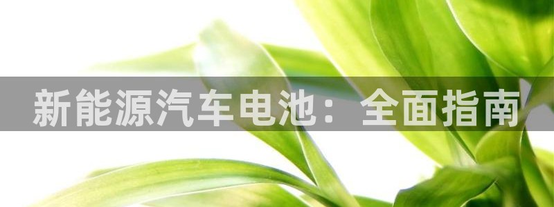 优发国际手机客户端下载不了