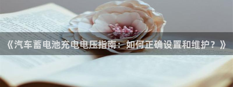 优发国际网官网17o8