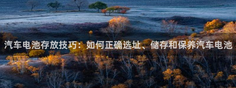 优发国际一首页