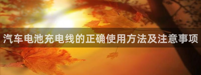 优发国际手机app下载地址