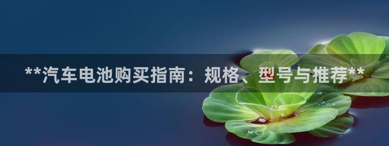 优发国际官网网站