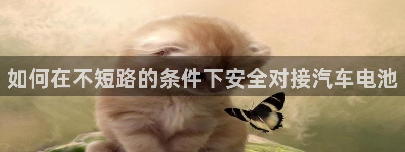 优发国际官网手