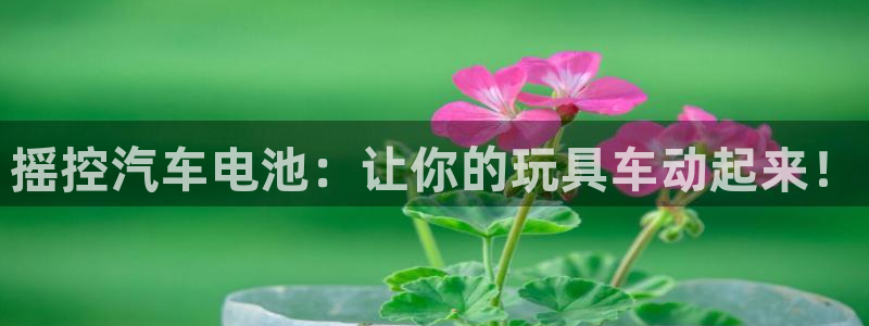 优发国际手机版客户端下载安装