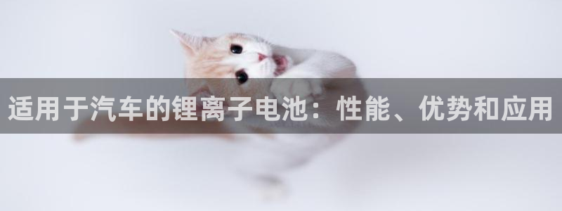 优发国际平台app下载安装