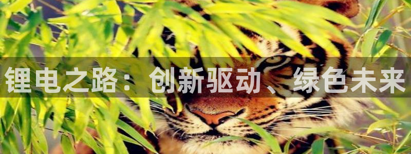 优发国际游戏