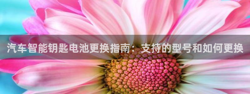 优发国际客服联系方式查询