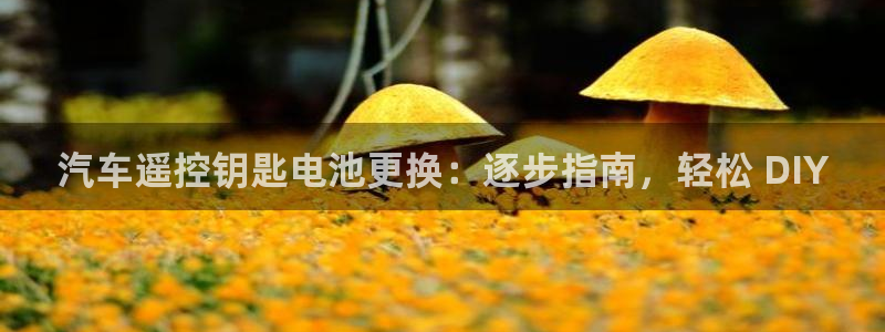 优发国际平台手机版下载