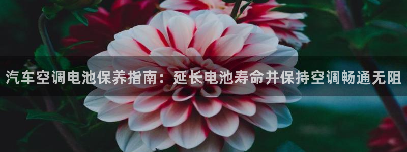 优发国际官网手机版app：汽车空调电池保养指南：延长电池寿命并保持空调畅通无阻