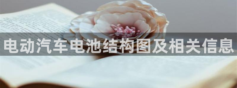 优发国际官方网平台