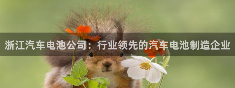 优发国际官方网手机版入口