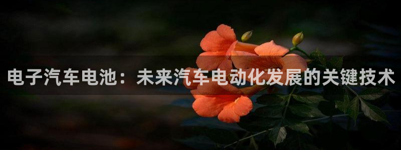 优发国际官网