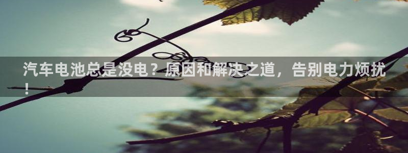 优发国际是大平台吗是真的吗