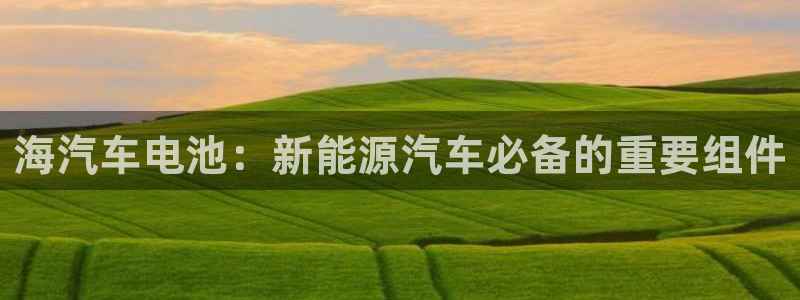 优发国际客服联系方式电话：海汽车电池：新能源汽车必备的重要组件