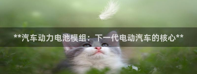 优发国际游戏：**汽车动力电池模组：下一