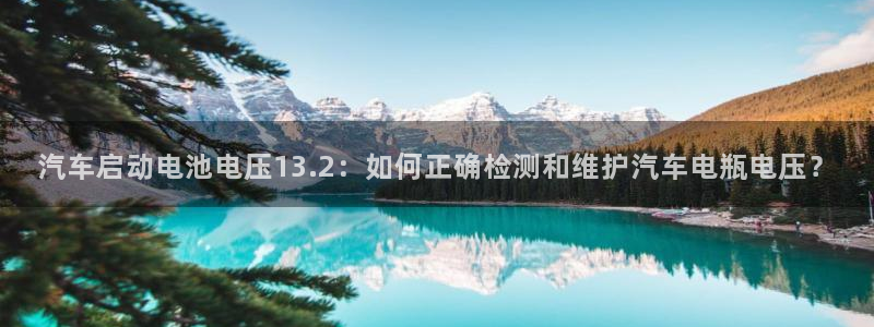 优发国际的官网是什么软件：汽车启动电池电压13.2：如何正确检测和维护汽车电瓶电压？