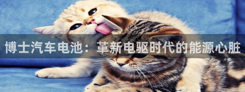 优发国际官网官方网址
