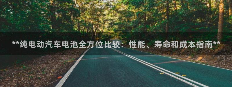 优发国际集团股份有限公司是国企吗：**纯电动汽车电池全方位比较：性能、寿命和成本指南**