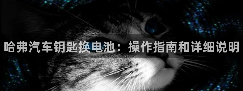优发国际平台g8怎么样：哈弗汽车钥匙换电池：操作指南和详细说明