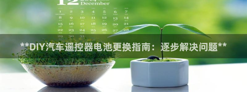 优发国际官网手机版下载苹果：**DIY汽车遥控器电池更换指南：逐步解决问题**