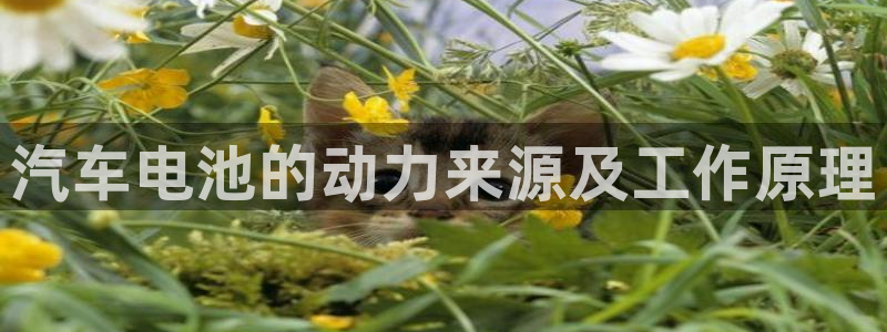 优发国际手机安装登录失败：汽车电池的动力来源及工作原理
