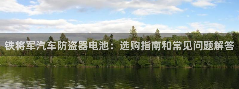 优发国际手机客户端下载安装不了：铁将军汽车防盗器电池：选购指南和常见问题解答