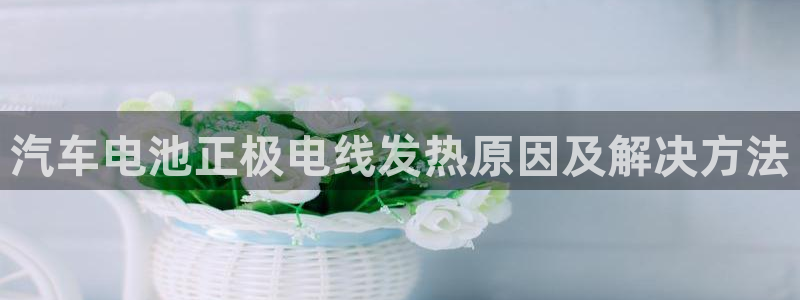 优发国际手机app下载安装苹果：汽车电池正极电线发热原因及解决方法