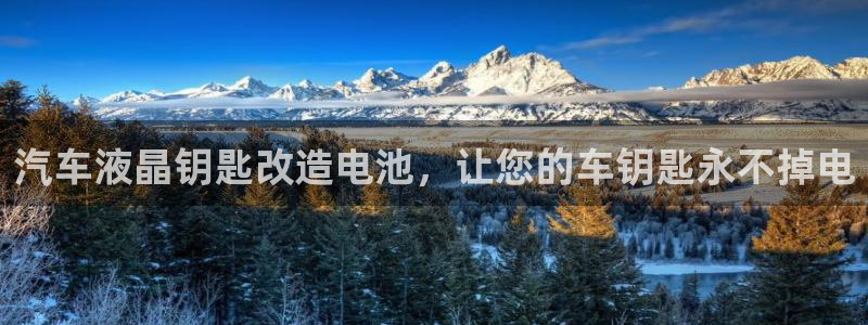 优发国际app：汽车液晶钥匙改造电池，让您的车钥匙永不掉电