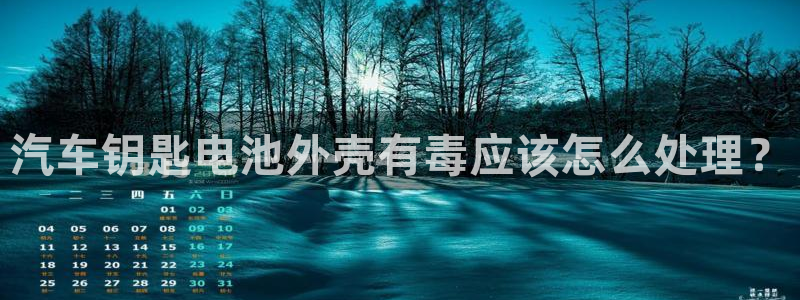 优发国际平台手机版下载：汽车钥匙电池外壳有毒应该怎么处理？