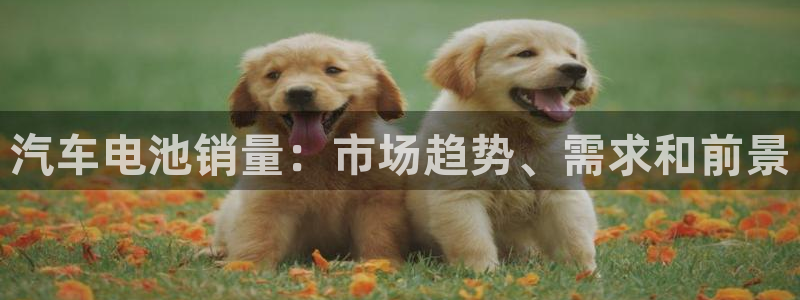 优发国际手机版网站下载：汽车电池销量：市场趋势、需求和前景