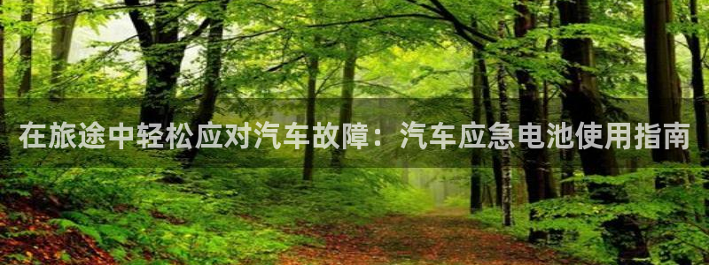 优发国际注册平台是什么：在旅途中轻松应对汽车故障：汽车应急电池使用指南