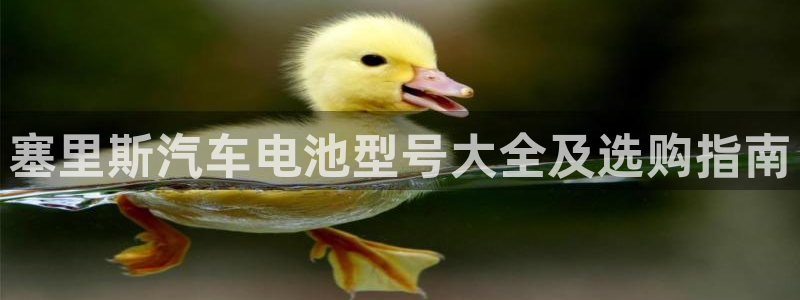 优发国际