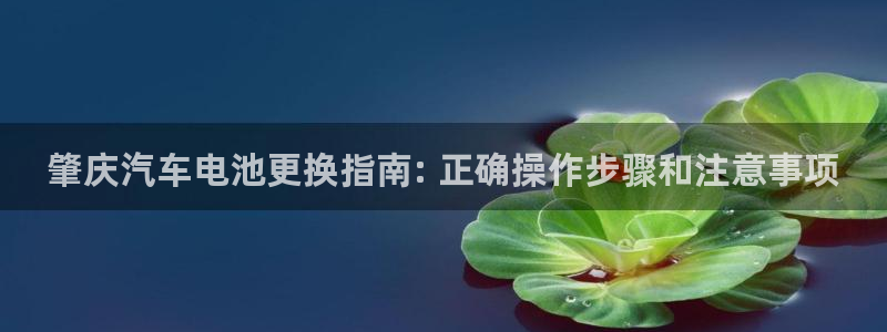 优发国际官网官方网址：肇庆汽车电池更换指南: 正确操作步骤和注意事项