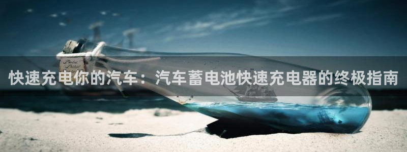 优发国际下载安装：快速充电你的汽车：汽车蓄电池快速充电器的终极指南