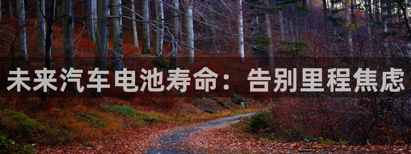 优发国际app登录：未来汽车电池寿命：告别里程焦虑
