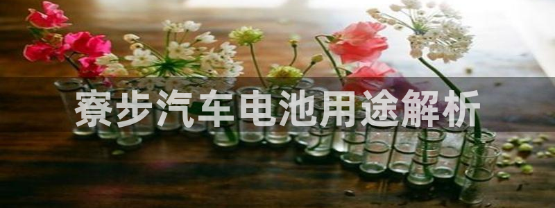 优发国际平台网站：寮步汽车电池用途解析