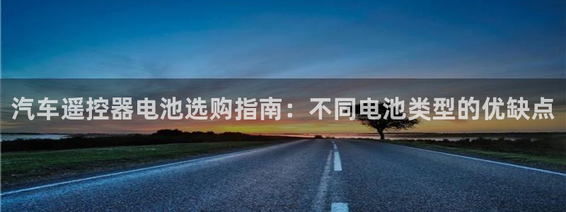 优发国际这个平台怎么样啊：汽车遥控器电池选购指南：不同电池类型的优缺点