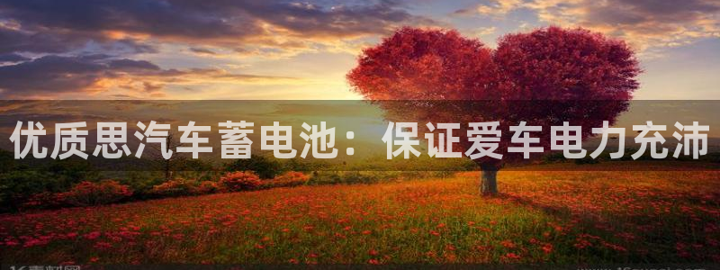 优发游戏官网：优质思汽车蓄电池：保证爱车电力充沛